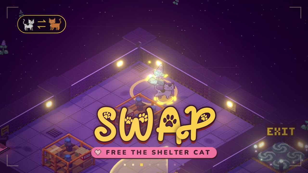 Catnip Heist: a cat swaps in to free the shelter cat